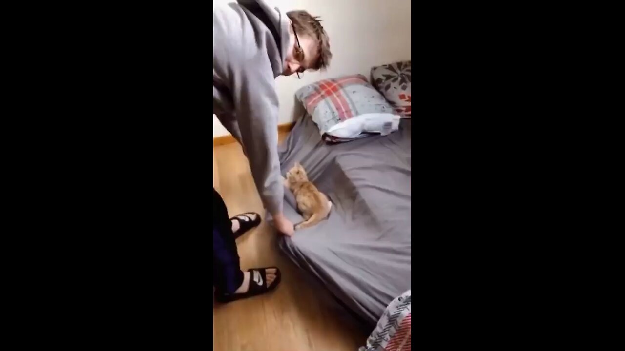 Cat and his owner just having some fun😬