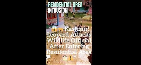 😨🐆 Kashmir Leopard Attacks Wildlife Official in Residential Area! 🏡⚠️