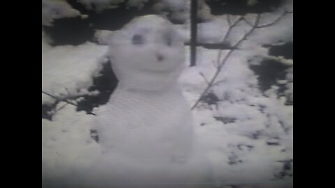 Caleb and the Snowman