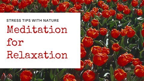 #Meditation Relaxation with Beautiful Nature sound