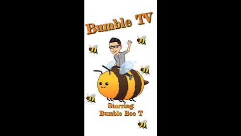 Bumble Bee T: Episode 1