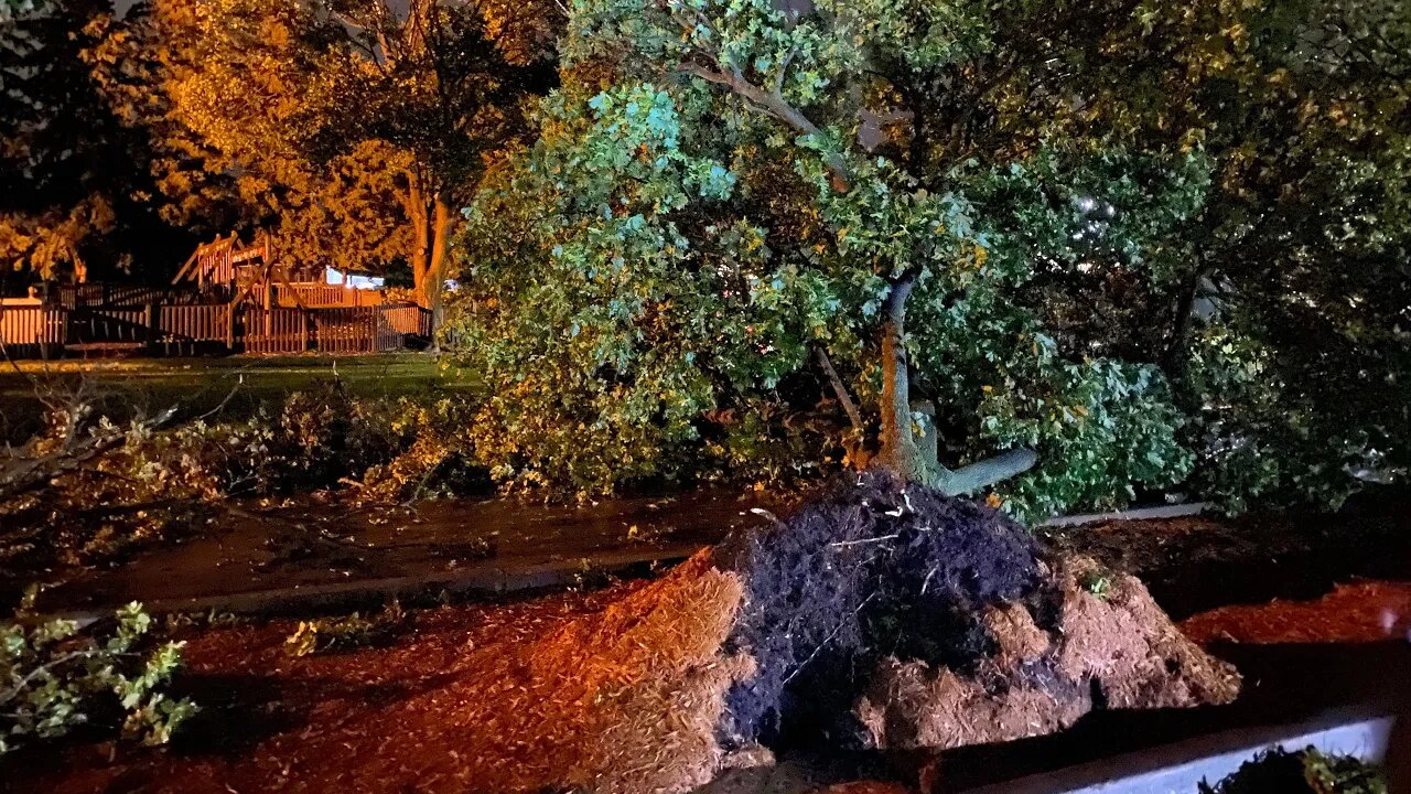 GLWX Storm Chasing August 24, 2023- Dangerous Wind, Lightning, and Damage in Michigan