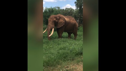 THE TOUR VAN WAS SO CLOSE😱🤯