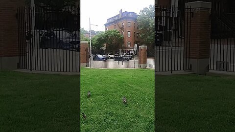 Why is it some of us are feeling the effect of illegal parking?
