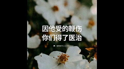 分享今日经文。 愿主与我们同在。阿门