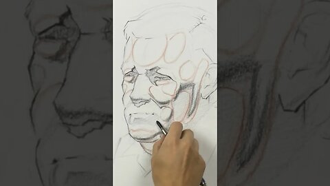 Portrait Drawing ✍️ Lesson On Fat Pads Of Face (excerpt)