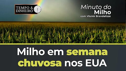 Milho em semana chuvosa nos EUA