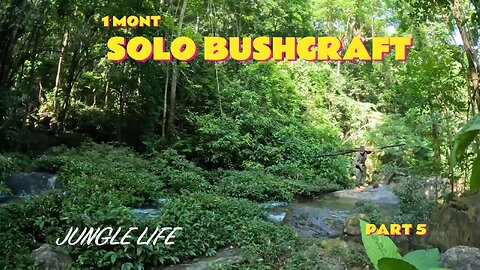 1 Month Solo Bushcraft. Build a box-shaped house on a tree. Survive in the Wild. part 4