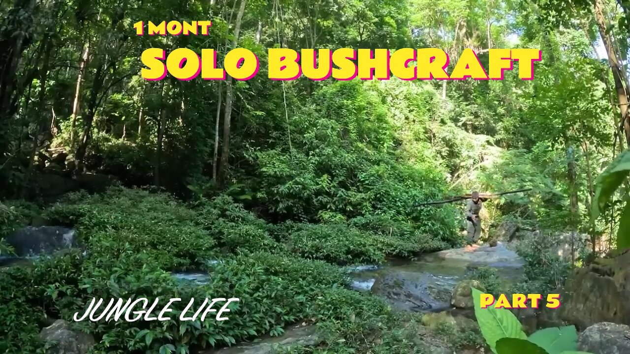 1 Month Solo Bushcraft. Build a box-shaped house on a tree. Survive in the Wild. part 4