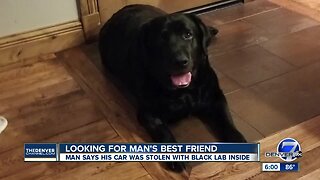 Reward offered for stolen car with dog inside near Broncos Stadium at Mile High