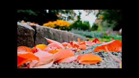 فقیر قلندر بخش خاصخیلی