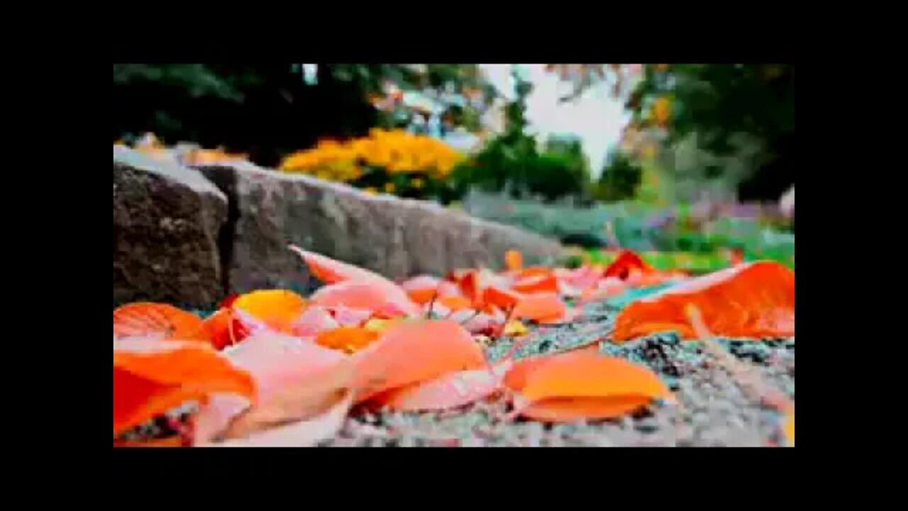 فقیر قلندر بخش خاصخیلی