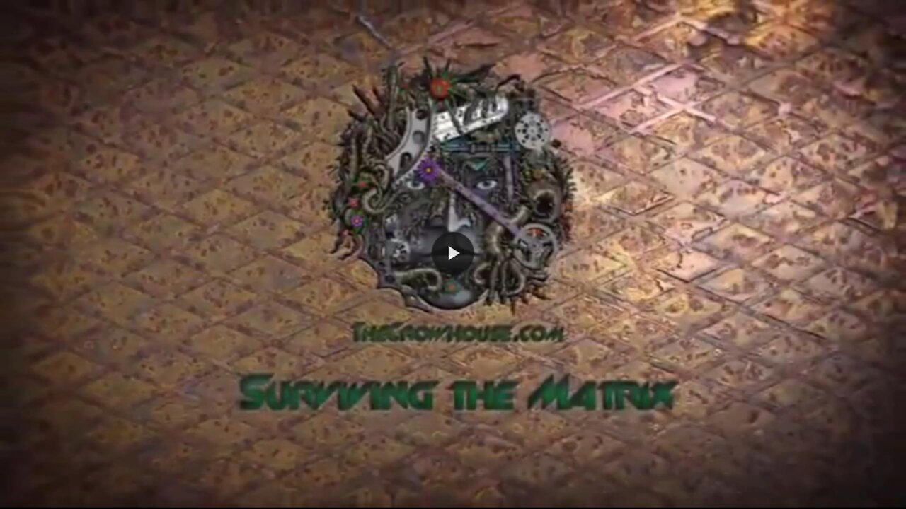 MIRROR WORLD - MAX IGAN