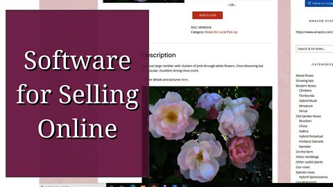 Software for Selling Online