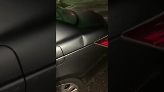 Floridians Suck at Driving Part 2 #florida #floridalife #fyp