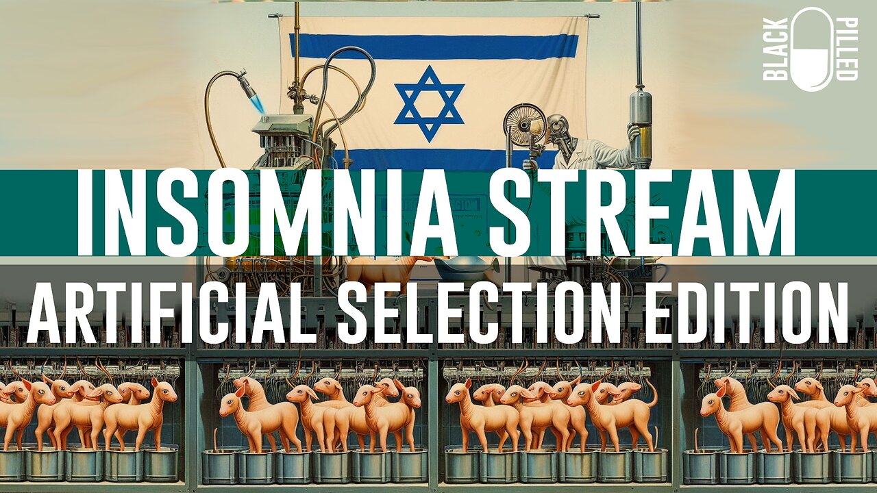 INSOMNIA STREAM: ARTIFICIAL SELECTION EDITION