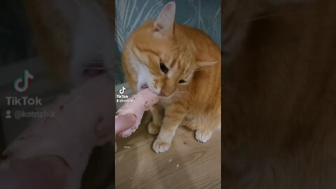 всегда хочет есть 🌚