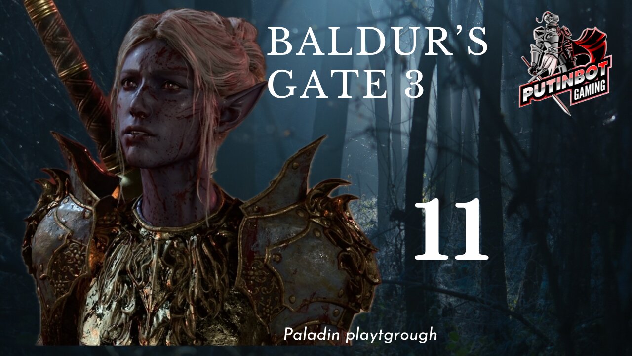 Let's Play a Paladin! - New Baldur's Gate 3 Paladin Playthrough