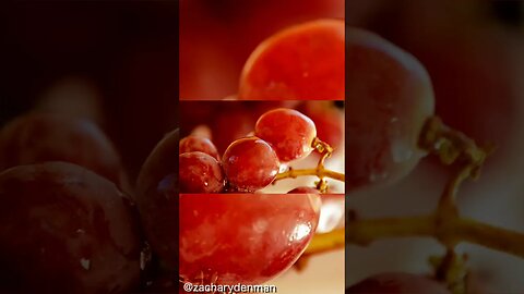 Olaf Jansen and his Father sailed into the Hollow Earth #hollowearth #olafjansen #giants