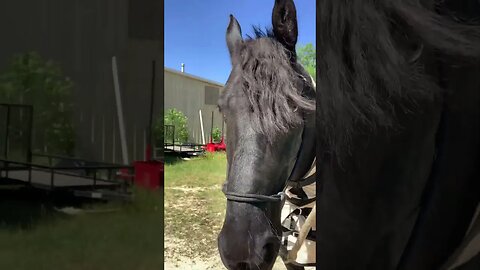 Apollo on the beat