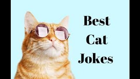 _shorts _viral _wwe_ cute cat sleeping _ funny reaction video