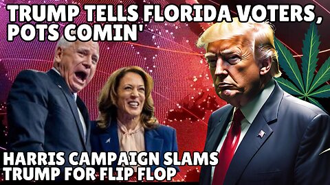 Trump Backs Florida Weed Legalization as Harris Slams His 'Brazen Flip-Flops'