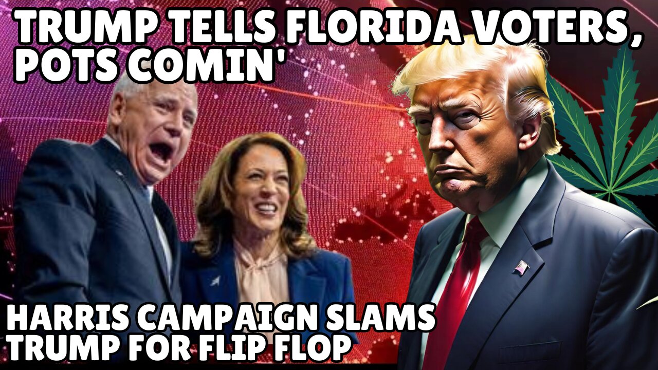 Trump Backs Florida Weed Legalization as Harris Slams His 'Brazen Flip-Flops'