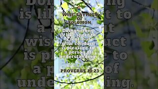 Wise Sayings of Solomon | Proverbs 10:23