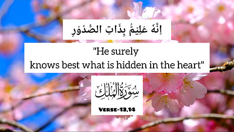 Surah Al Mulk Verse-13,14💕
