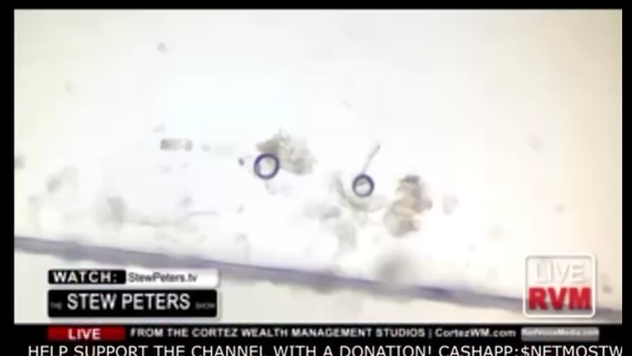 Parasite’s In the Vaccine’s….