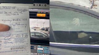 Ontario Police Warn That You Can Get Fined $110 If Caught Driving With A Dog In Your Lap