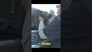 Policial salva cachorro em carro pegando fogo