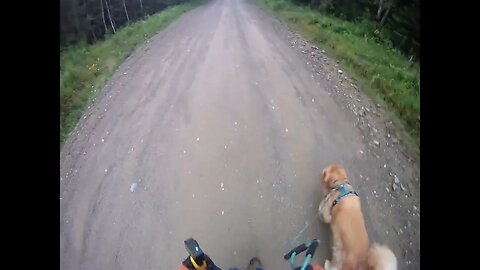 July 16th, 68º and foggy, rain coming in around 10. Flynn does the deed.