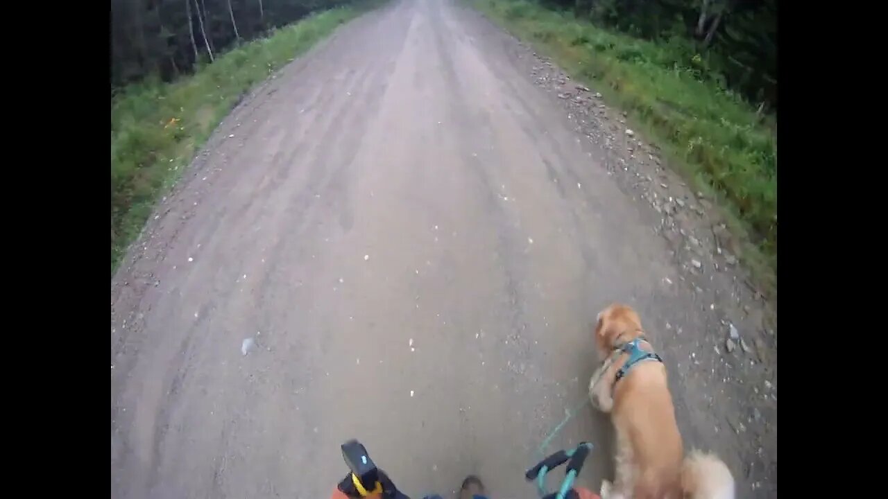 July 16th, 68º and foggy, rain coming in around 10. Flynn does the deed.