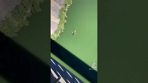 Geez! 🫢😳 #music #shorts #tiktok #trending #viral #youtubeshorts #short #swim #diver #gym #fun