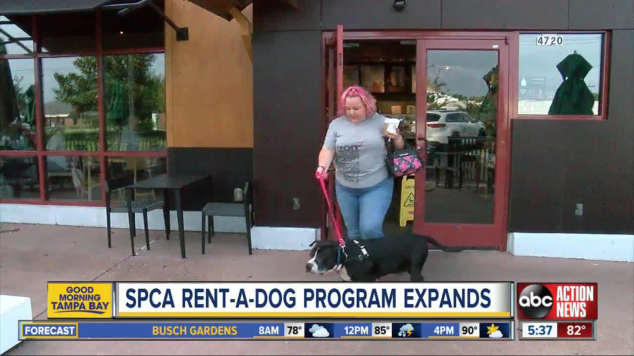 SPCA's Rent-A-Dog program expands in Florida