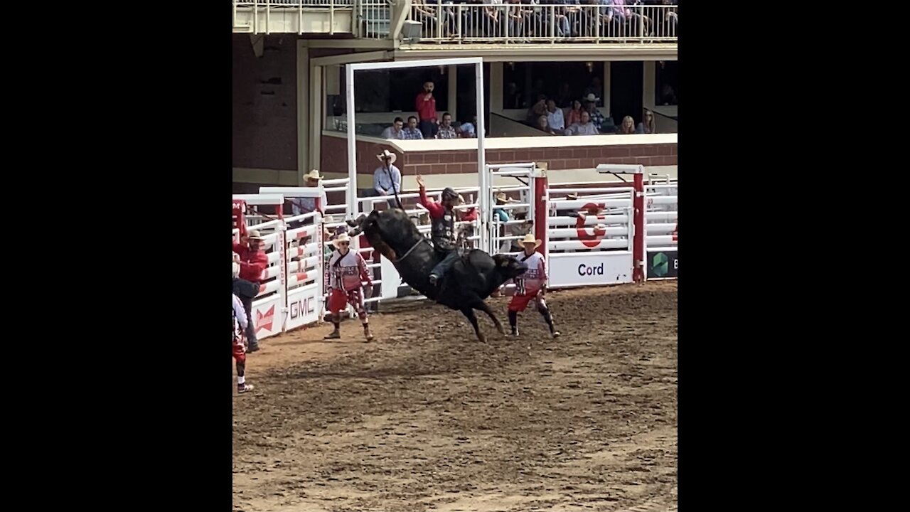 July 11th Bull Riding at the Calgary Stampede Rodeo