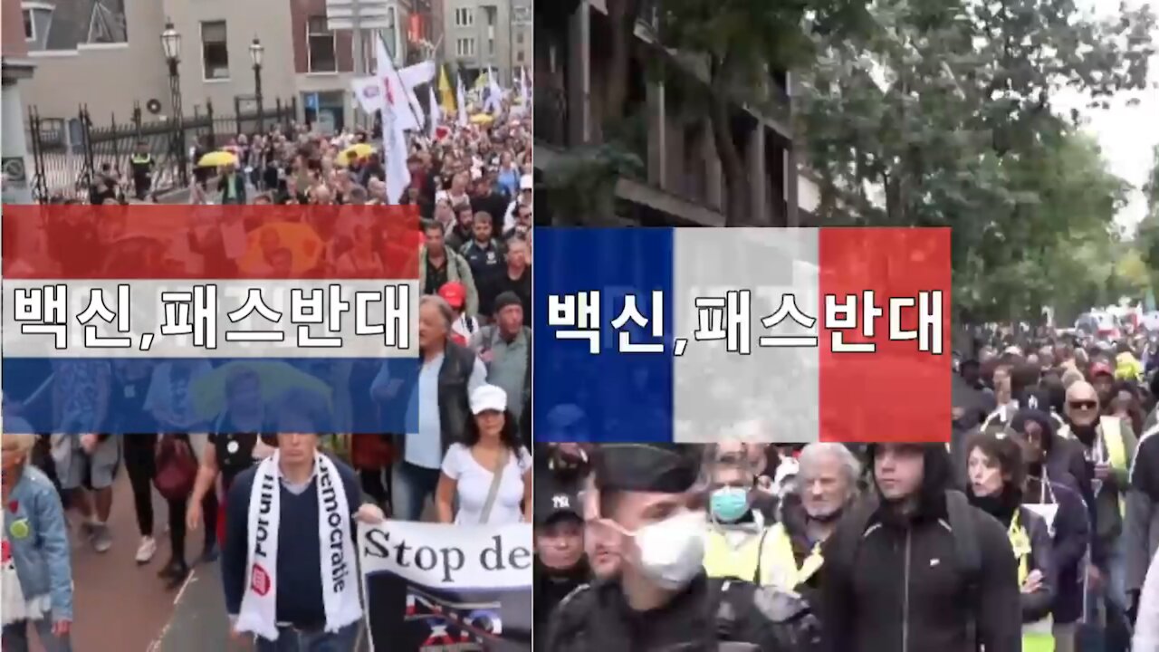 Anti-vaccine PASS protests in France and Netherlands