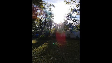 test1