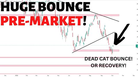 STOCK MARKET HUGE PUMP! Someone is Buying the DEBT Market right Now? Guess Who?
