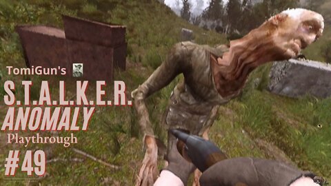S.T.A.L.K.E.R. Anomaly #49: This Izlom Almost Ate Me (Wallet: 44 000 Rubels)