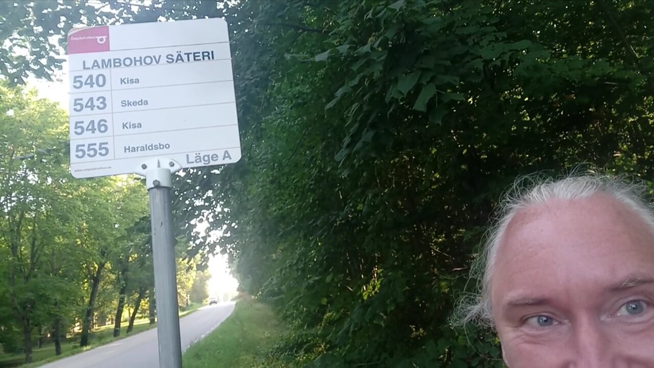 White supremacy populus🌳! And Lambohov Säteri with its trees and strangeness