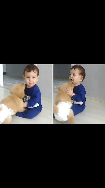Baby Adorably Tries To Escape Sweet Puppy Kisses