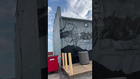 AMAZING Murals in my small little town! 🎨🥰🏠