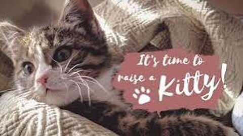 Cat and her kitten