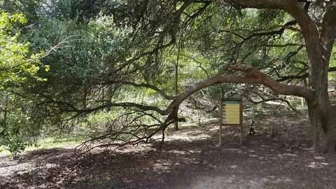 Deep Thoughts in Nature, Underground in the Hill Country 10.5.17