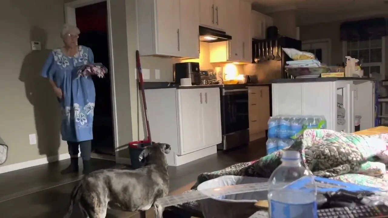 Ran out of blinker fluid