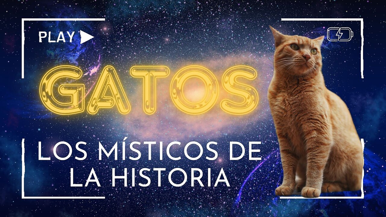GATOS, místicos de la historia