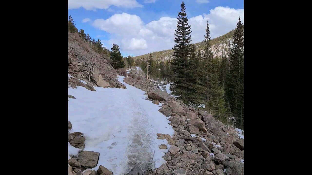 Alpine transition