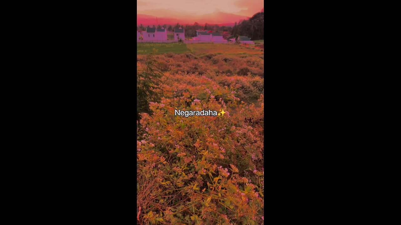 the beatiful day